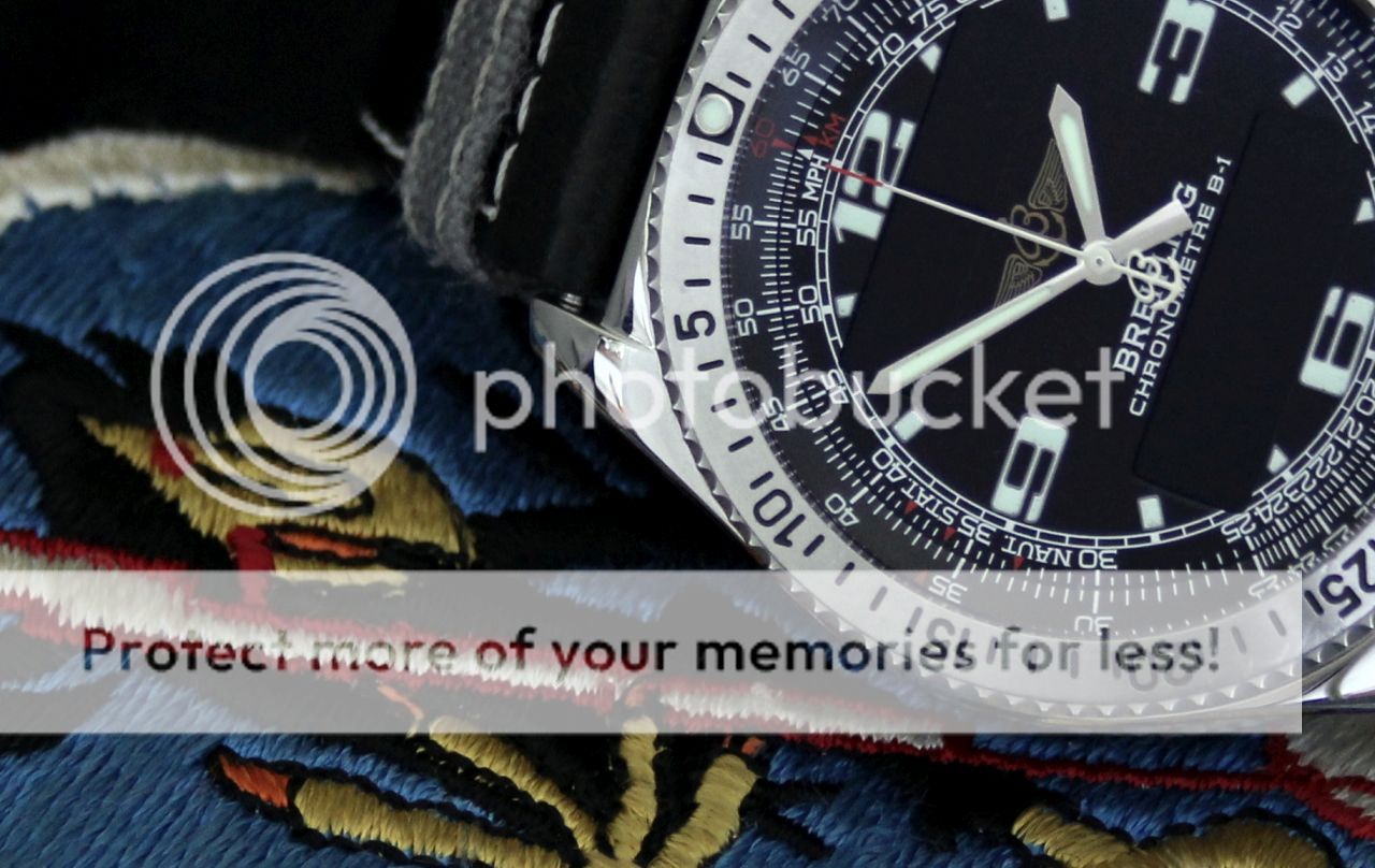 ECM shoehorn crow says "We be jammin'..." WatchUSeek Watch Forums